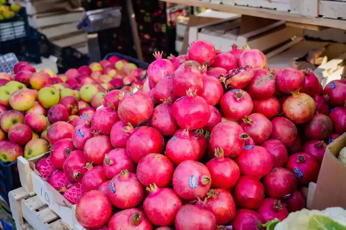 Доступные цены и самые свежие продукты: в Астане проходит ярмарка аграриев Павлодарской и Северо-Казахстанской областей (10)