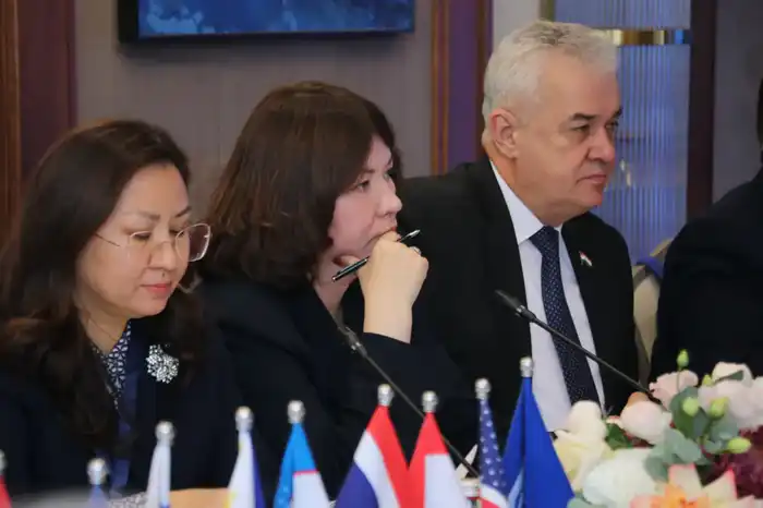 Мировые эксперты обсудили глобальные вызовы в построении инклюзивного общества (3)