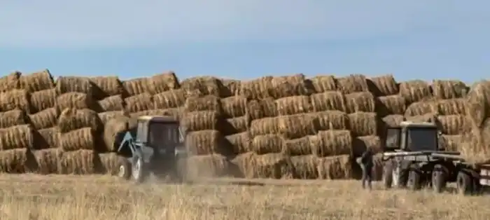 В Аксуатском районе реализуется новый проект в сфере сельского хозяйства (2)