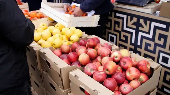 Более 460 тонн продукции представили аграрии Акмолинской области на заключительной ярмарке в Астане (4)