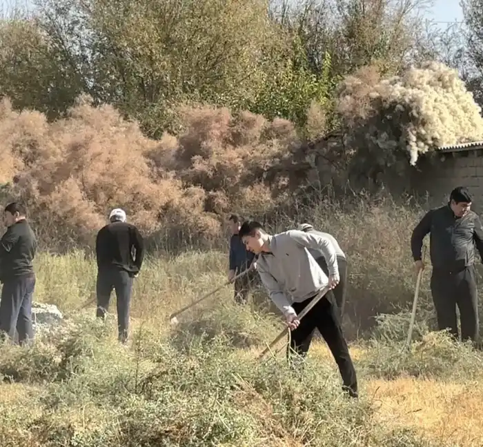 ТУРКЕСТАН: В ЖЕТЫСАЙСКОМ РАЙОНЕ ПРОВЕДЕНЫ УБОРOЧНЫЕ РАБОТЫ В РАМКАХ ПРОГРАММЫ «ТАЗА ҚАЗАҚСТАН» (2)