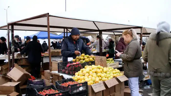 Более 460 тонн продукции представили аграрии Акмолинской области на заключительной ярмарке в Астане (9)