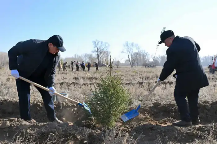 В Семее открылся лесной питомник (9)