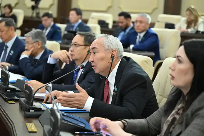 Мажилис утвердил республиканский бюджет на 2026-2028 годы (8)