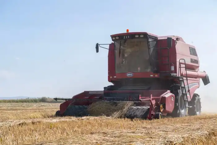 Алматинская область сохраняет рост в агросекторе: рекордные урожаи и инвестиции (3)