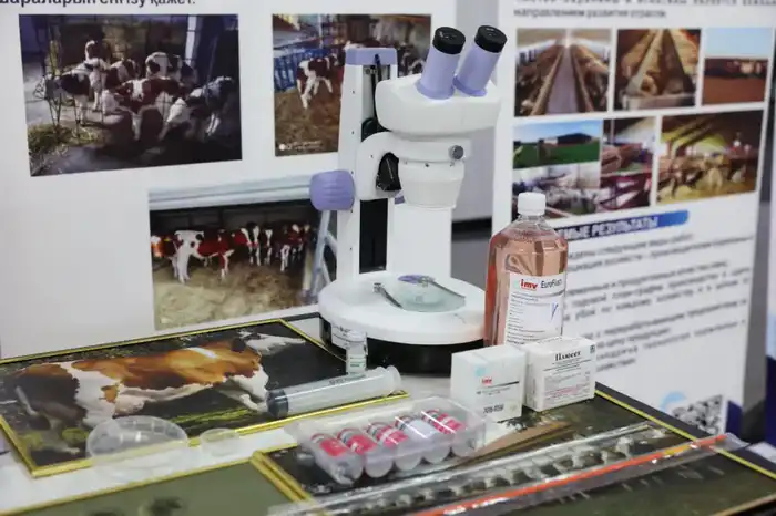 Аким Павлодарской области Асаин Байханов поздравил Торайгыров университет с 65-летием (4)