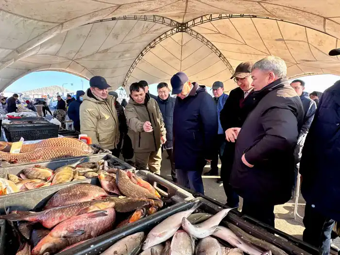 Сделано в СКО: 800 тонн фермерских продуктов привез регион на ярмарку в Астане (7)