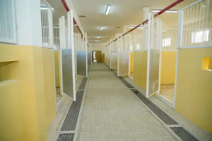 В ЭТОМ ГОДУ В ТУРКЕСТАНЕ ВВЕДУТ В ЭКСПЛУАТАЦИЮ ИППОДРОМ, СООТВЕТСТВУЮЩИЙ МЕЖДУНАРОДНЫМ ТРЕБОВАНИЯМ (2)