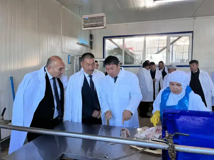 Рыбоперерабатывающий завод «Қарашалаң балық» запустили в Кызылординской области (5)