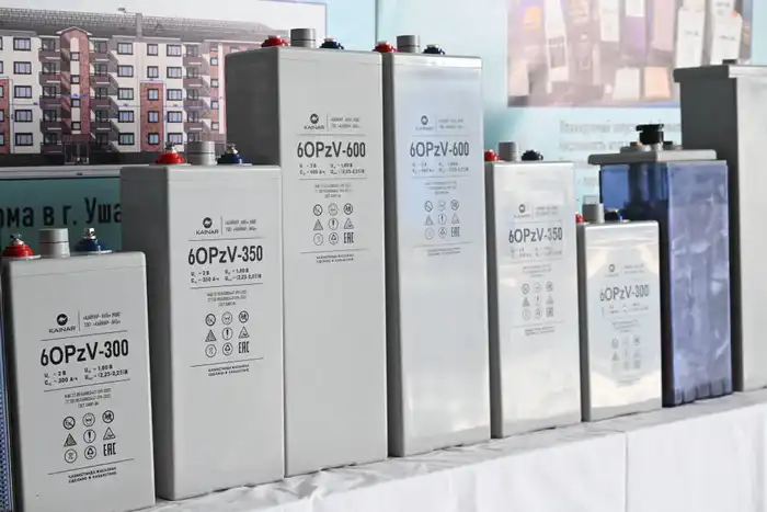 В области Жетісу начали производить новый тип аккумуляторных батарей (4)