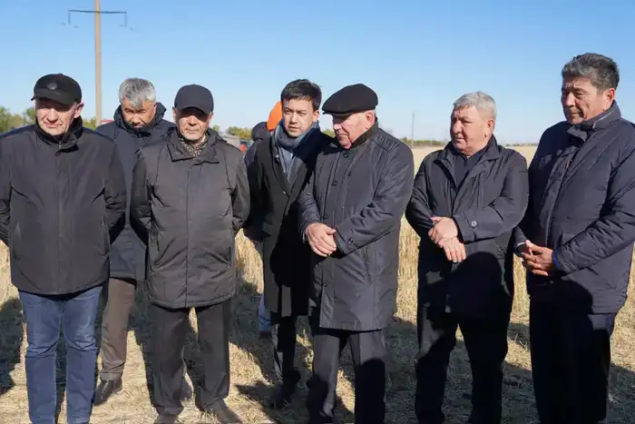 Мегаферма на 8000 голов строится в Северо-Казахстанской области (2)