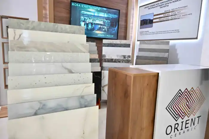 Президенту презентовали инвестиционные проекты Кызылординской области (5)