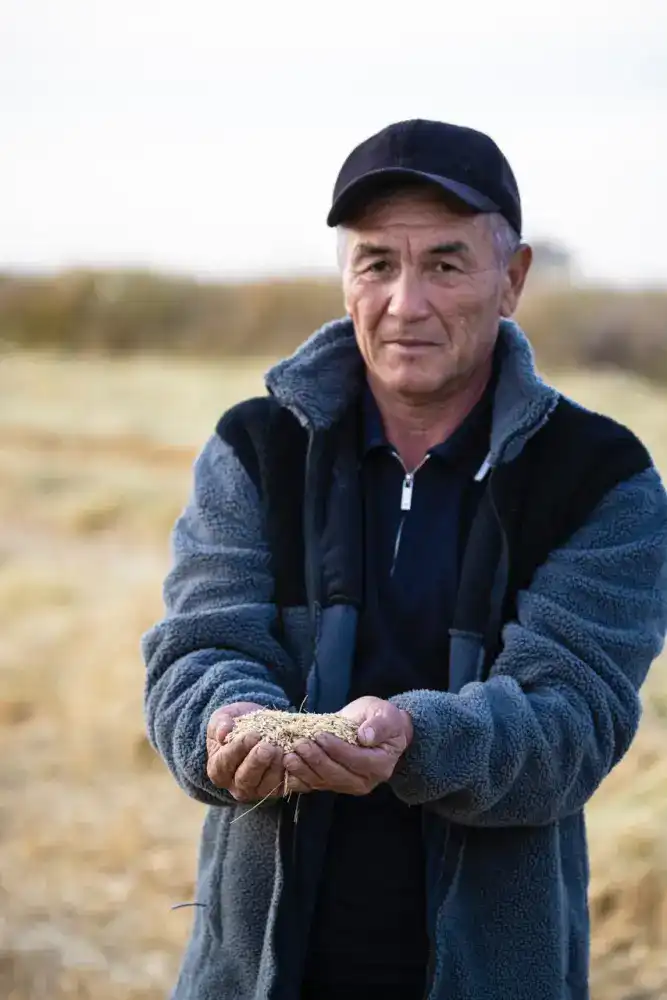 В Балхашском районе идёт активная уборка риса (3)