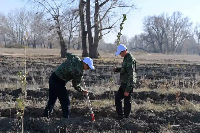В Семее открылся лесной питомник (10)