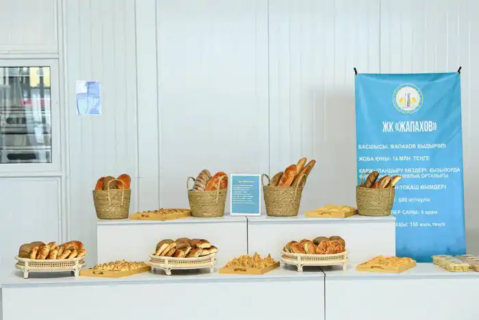 В Кызылорде открылась малая промышленная зона «Тұмар» (9)