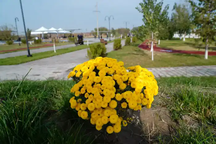 В ТУРКЕСТАНЕ ПРОШЛА КАПИТАЛЬНАЯ РЕКОНСТРУКЦИЯ ПАРКА «ПАРАСАТ» (4)