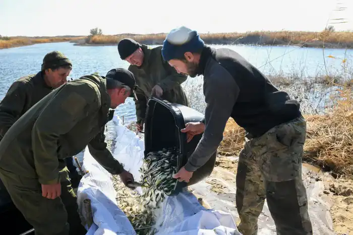 В дельте реки Или проведено зарыбление Шагырайской озёрной системы (3)