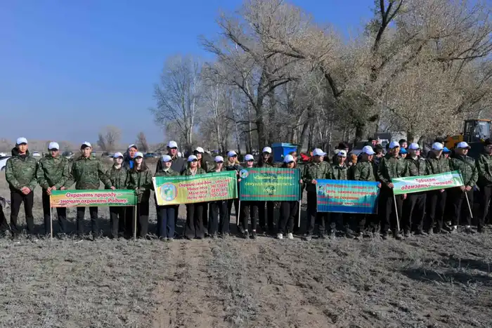 В Семее открылся лесной питомник (3)