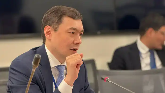 Казахстан представил международным рейтинговым агентствам результаты структурных реформ и экономические перспективы (4)