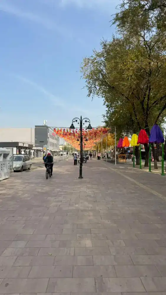 В Алматы ко Дню Республики завершено благоустройство двух пешеходных зон Жетысуского района (5)