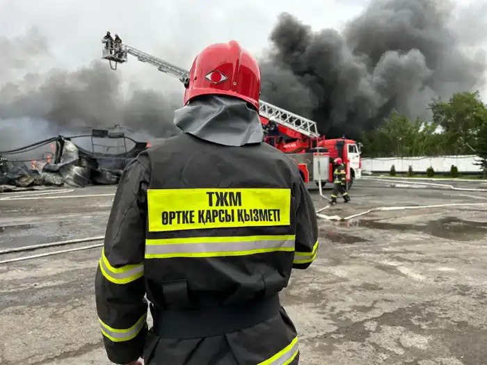 Миссия спасать: цифры, за которыми – судьбы (9)