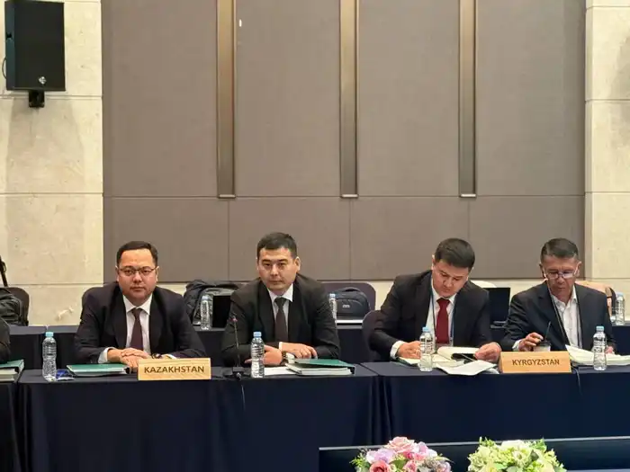 Казахстан укрепляет международное сотрудничество в сфере лесного хозяйства на XIII Ассамблее AFoCO (2)