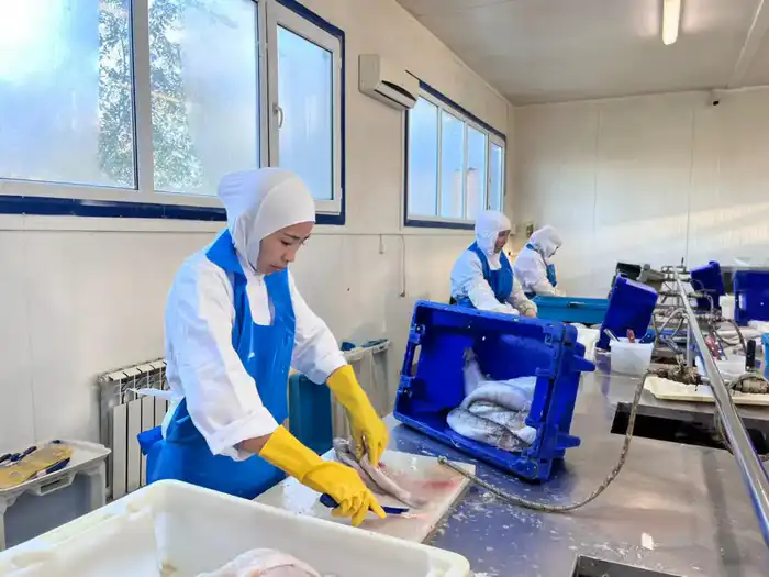 Рыбоперерабатывающий завод «Қарашалаң балық» запустили в Кызылординской области (4)