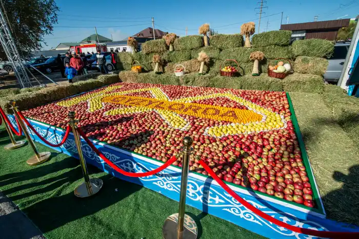 Сельскохозяйственная ярмарка «Алтын күз-2025» (2)