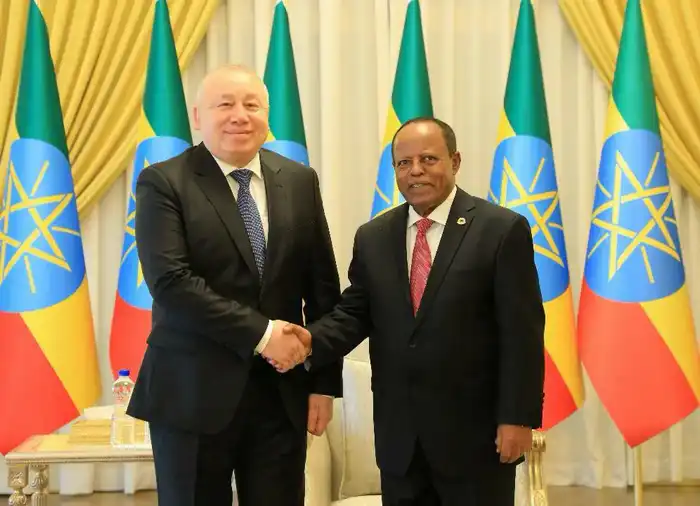 Посол Казахстана вручил верительные грамоты Президенту Эфиопии (2)