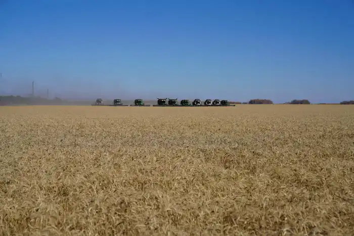 Мегаферма на 8000 голов строится в Северо-Казахстанской области (5)