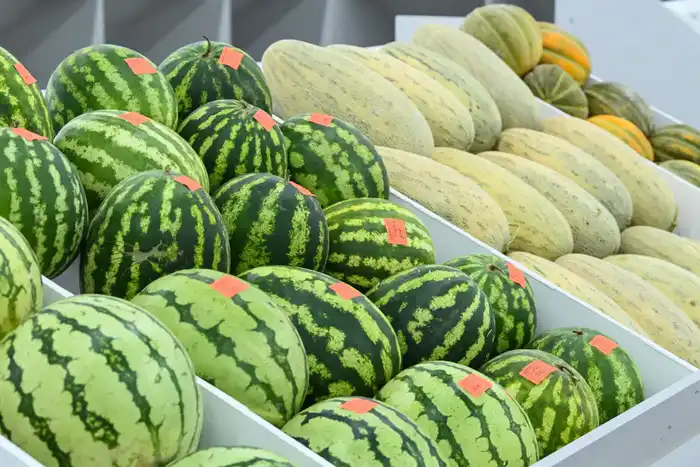 Коммунальный рынок «Syr darya» открылся в Кызылорде (4)