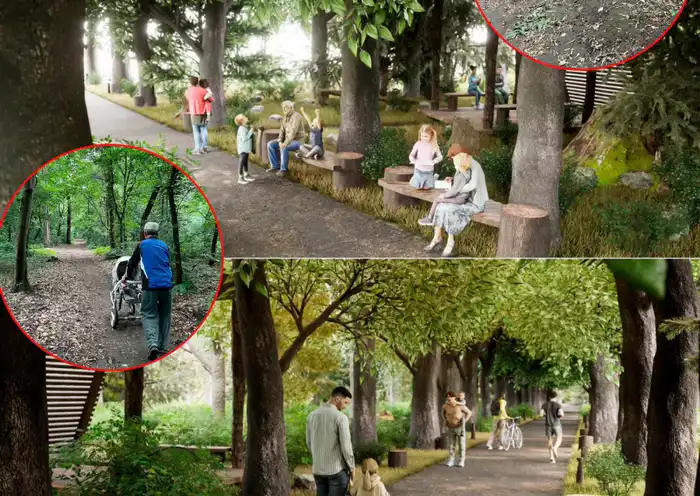 Акимат Алматы представил обновлённый дизайн Рощи Баума (4)