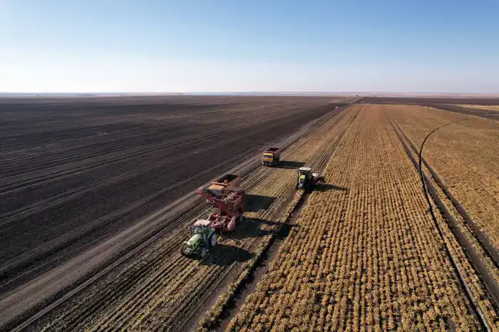Аким области Гауез Нурмухамбетов с рабочим визитом посетил район Шал акына (3)