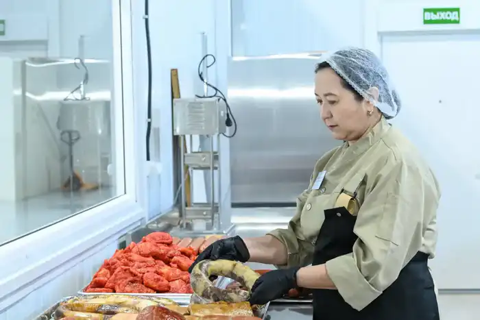 В Кызылорде открылась малая промышленная зона «Тұмар» (4)