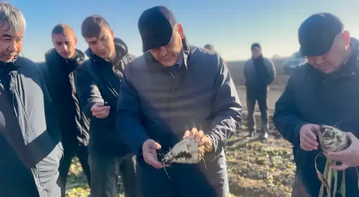 Аким области Гауез Нурмухамбетов с рабочим визитом посетил район Шал акына (10)