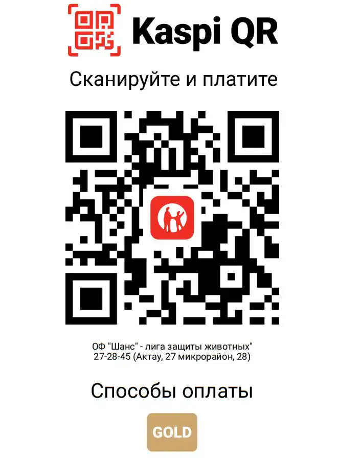 QR-код для помощи
