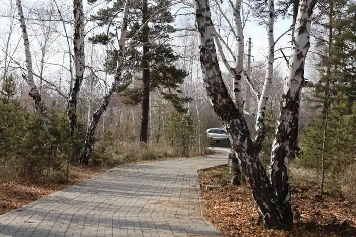 В Макинске завершается благоустройство городского парка (3)