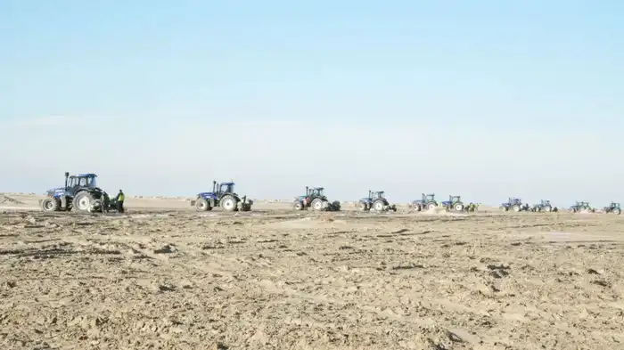 Началась осенняя посадка саксаула на осушенном дне Аральского моря (3)