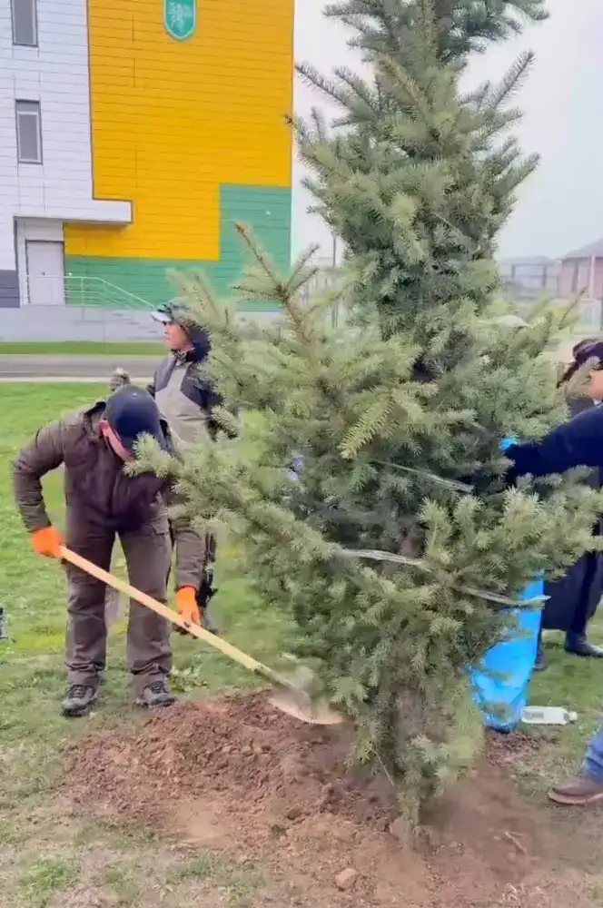 В Карасайском районе прошла экологическая акция «Таза Казахстан» (3)