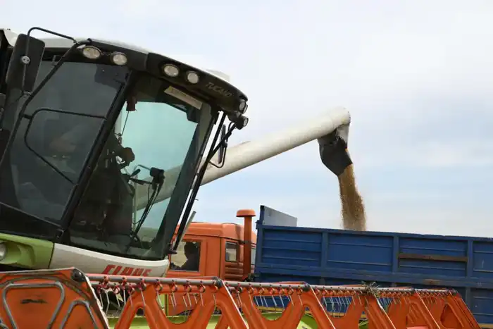 В Ескельдинском районе Жетісу на 1700 гектарах земли применяются влагосберегающие технологии (2)