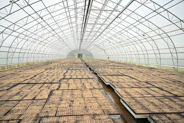 Беречь лес – обязанность каждого поколения: в Семее провели экологическую лекцию для студентов (5)