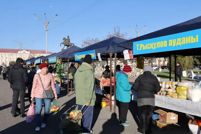 Ербол Карашукеев проверил цены и ассортимент на ярмарке в Таразе (5)