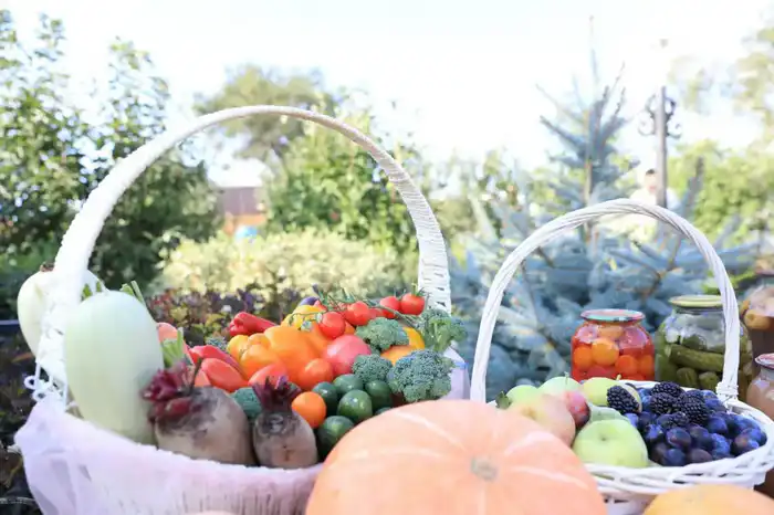 В 2025 году на государственную поддержку сельского хозяйства Актюбинской области направлено 15 млрд тенге (3)