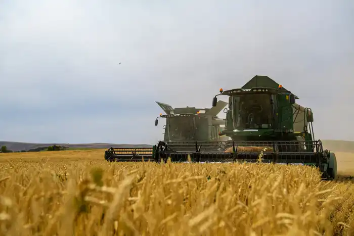 В области Жетісу сахарные заводы переработали уже 54 тыс. тонн сладкого корнеплода (2)