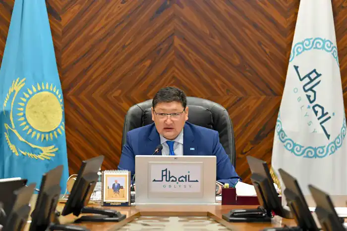 В области Абай будут реализованы новые инвестиционные проекты (3)