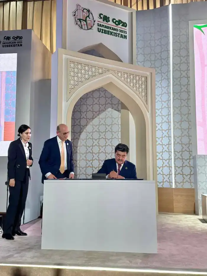 Обсуждено стратегическое воздействие CITES CoP20 (3)