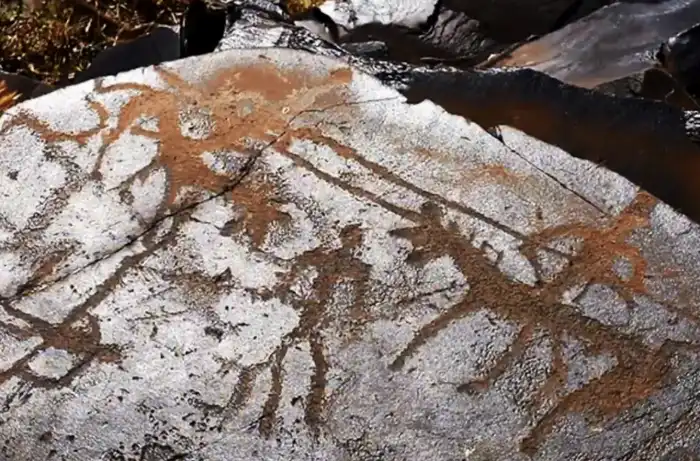 На берегу Или создают новый туристический кластер: реконструируют «Город кочевников» и построят мост к Танбалы Тас (4)