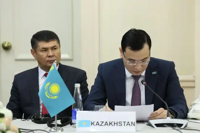 В Ташкенте состоялось первое заседание Консультативного комитета ОЭС (2)