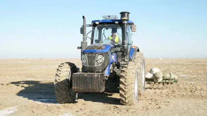 Началась осенняя посадка саксаула на осушенном дне Аральского моря (2)
