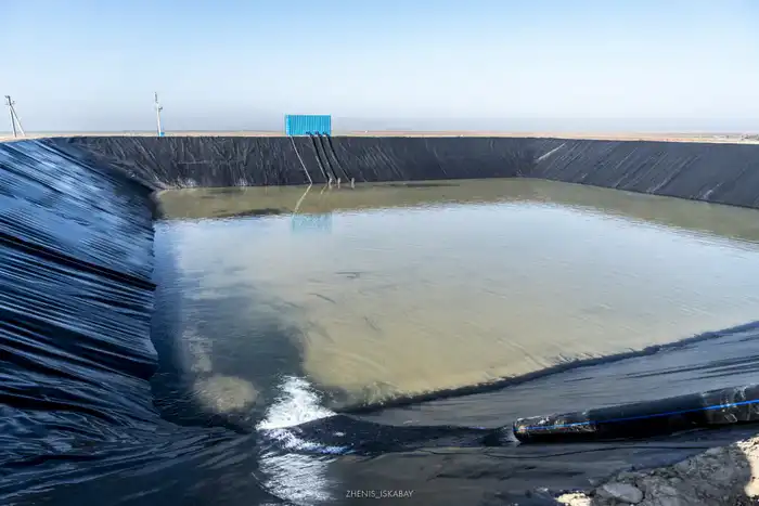 Аграрии Жетісу реализуют проект по выращиванию кормов, используя влагосберегающие технологии (2)